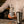 GinZoil® ROCKET BOOST GIN - The Church Farm Distillery
